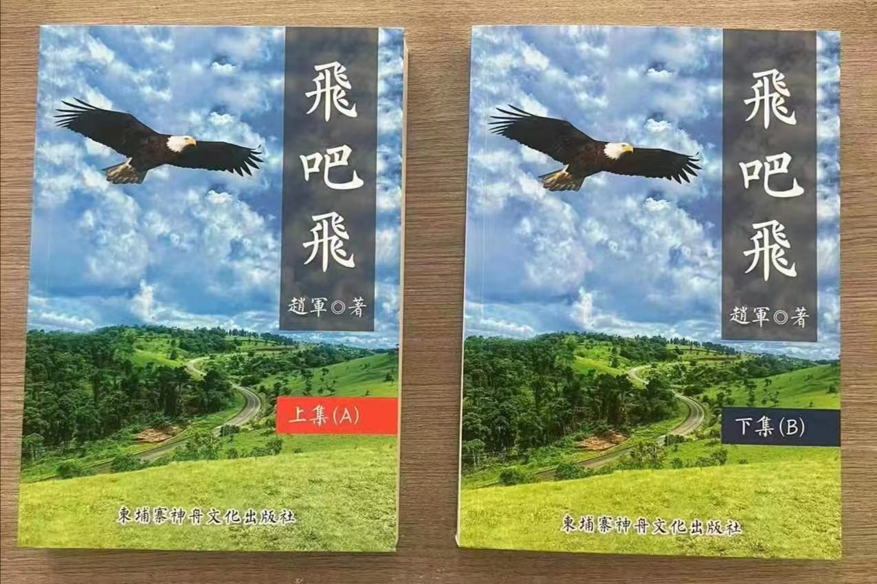 长篇小说《飞吧，飞》封面 （赵军 著）