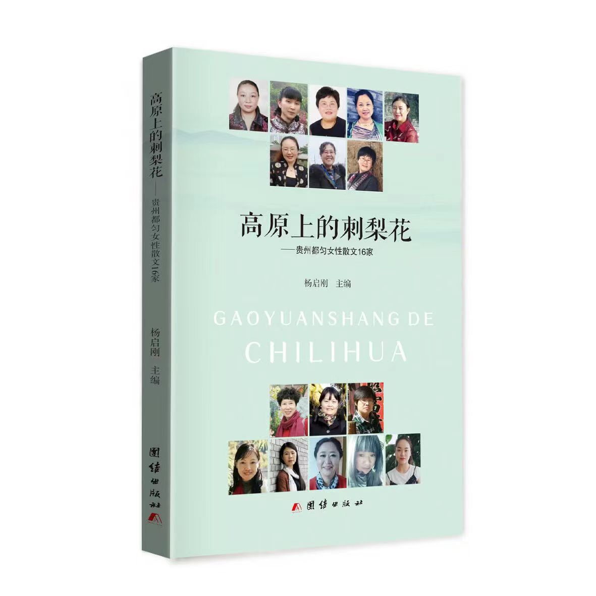 散文集《高原上的刺梨花——贵州都匀女性散文16家》封面