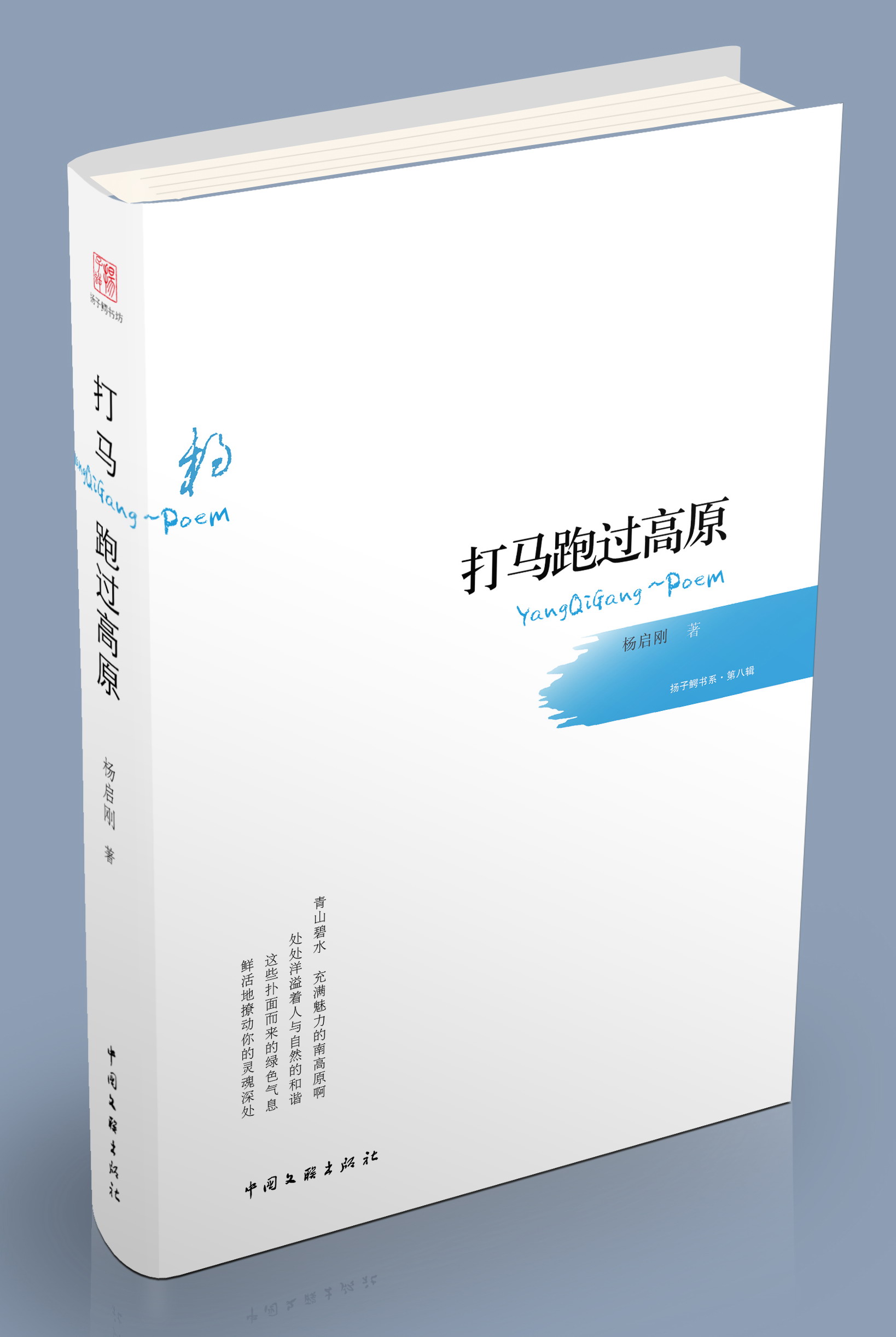 诗集《打马跑过高原》封面（杨启刚 著）