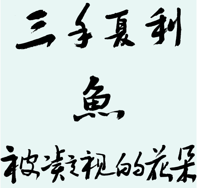 55