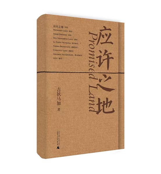 图片11