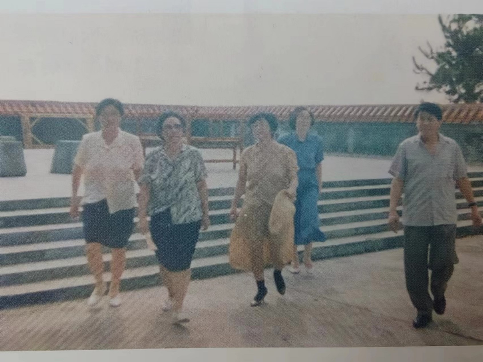 图片13