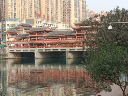图片7