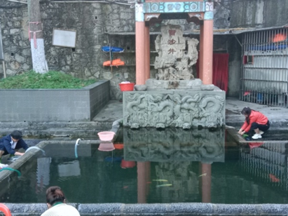 图片8