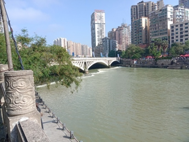 图片9