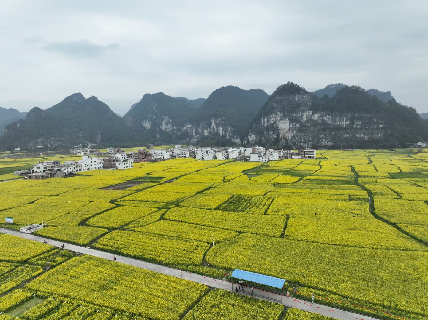金海石山凯口春景