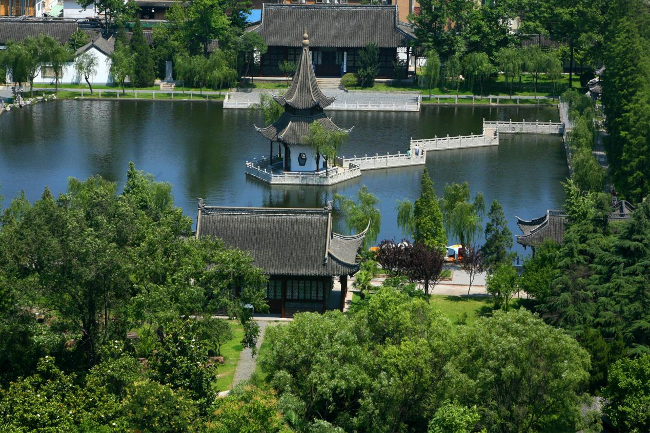 图片7