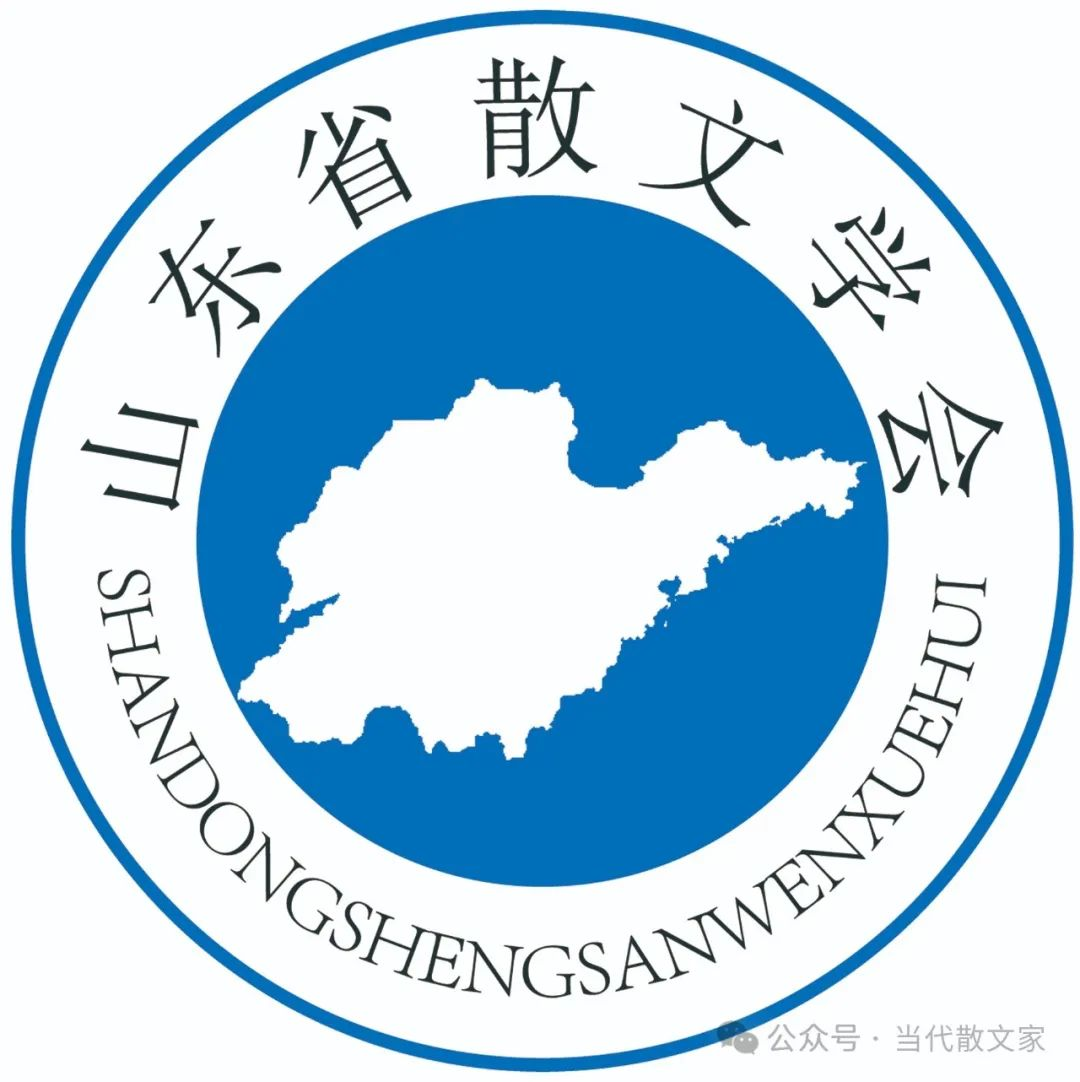 图片5
