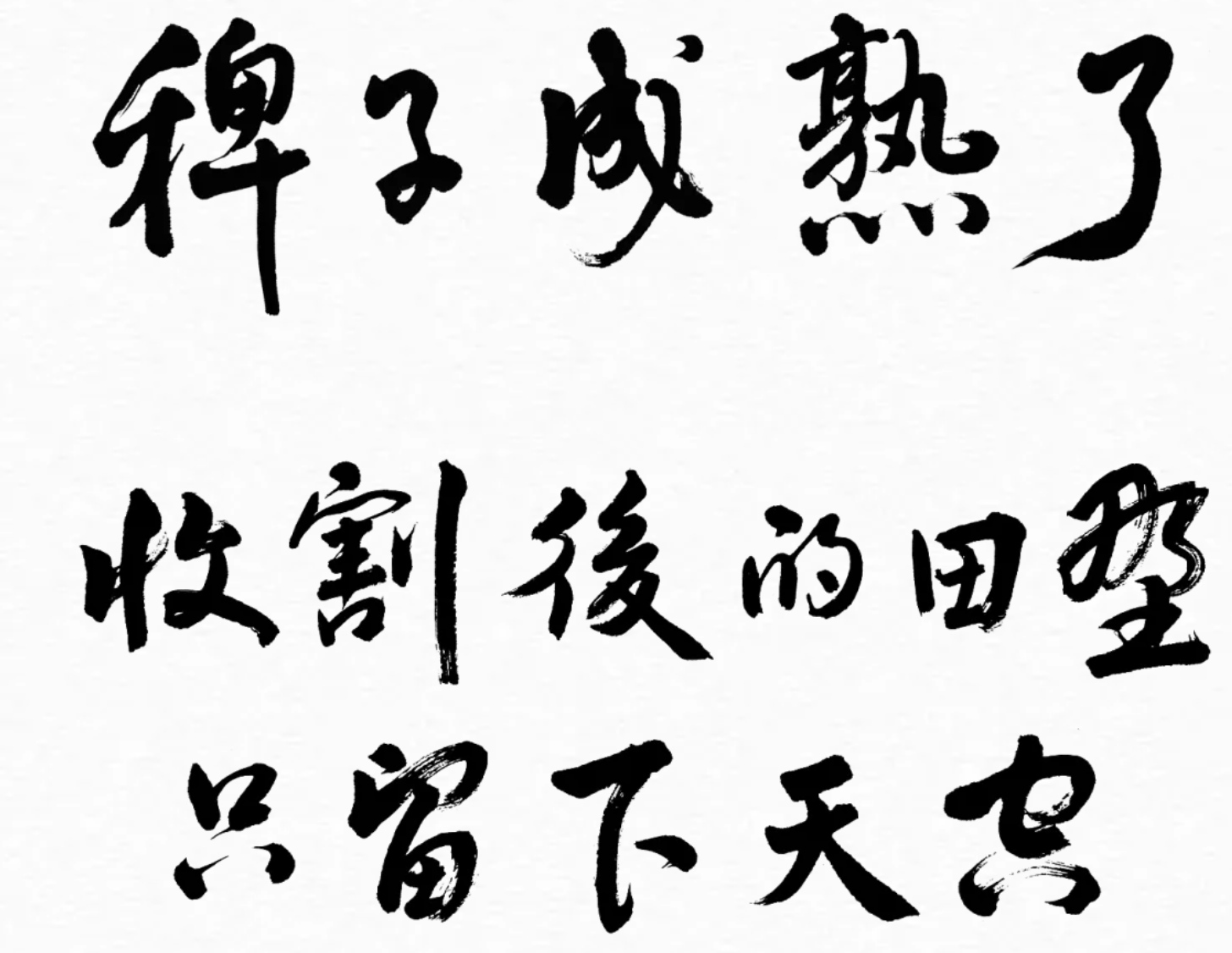 6