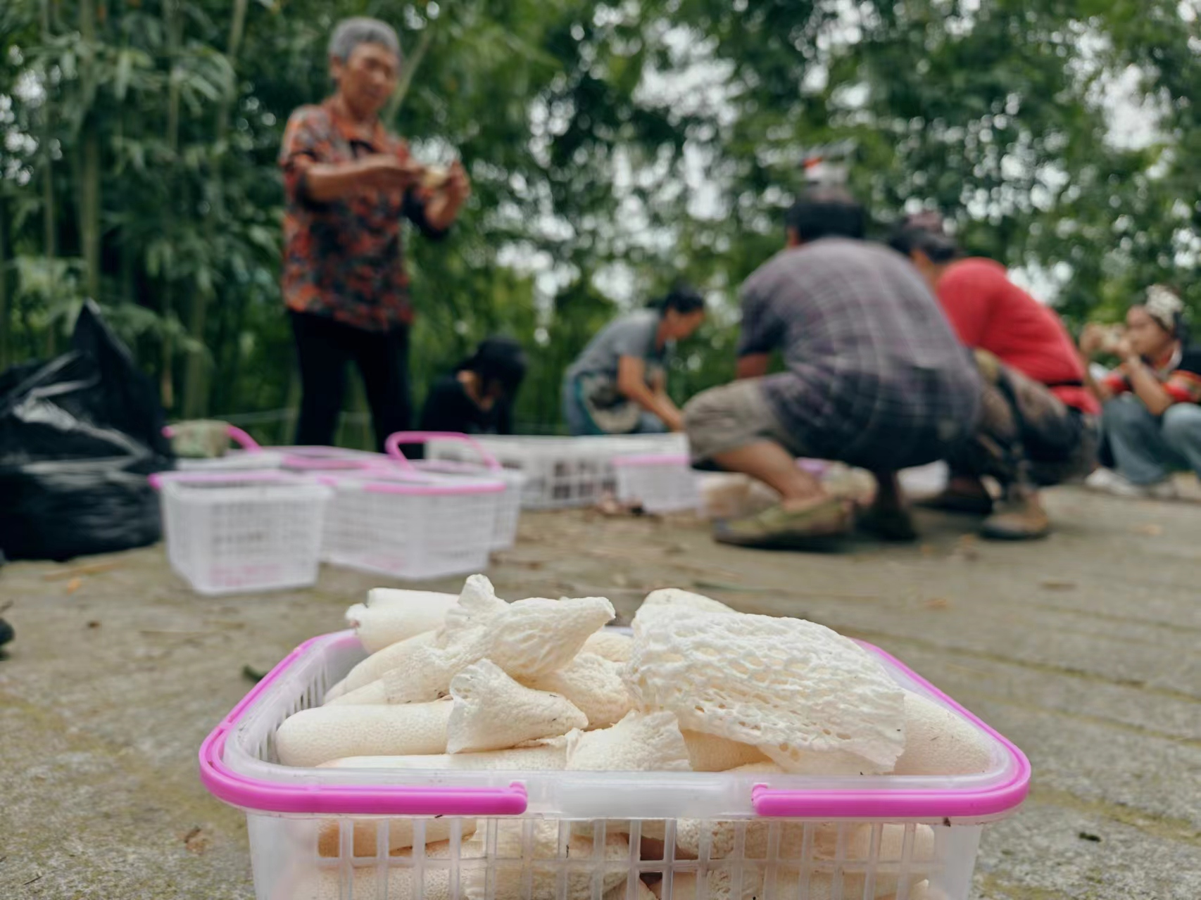 图片14