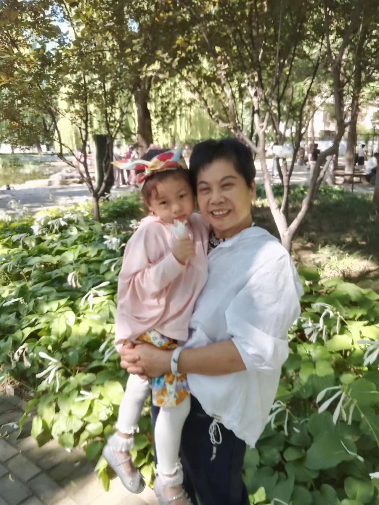 抱孙照