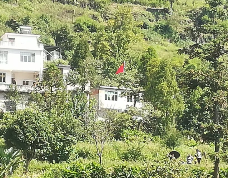 图片3