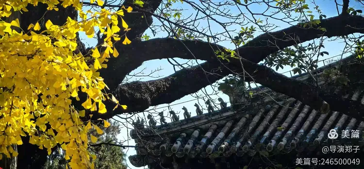 图片5