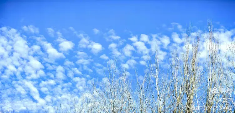 图片9