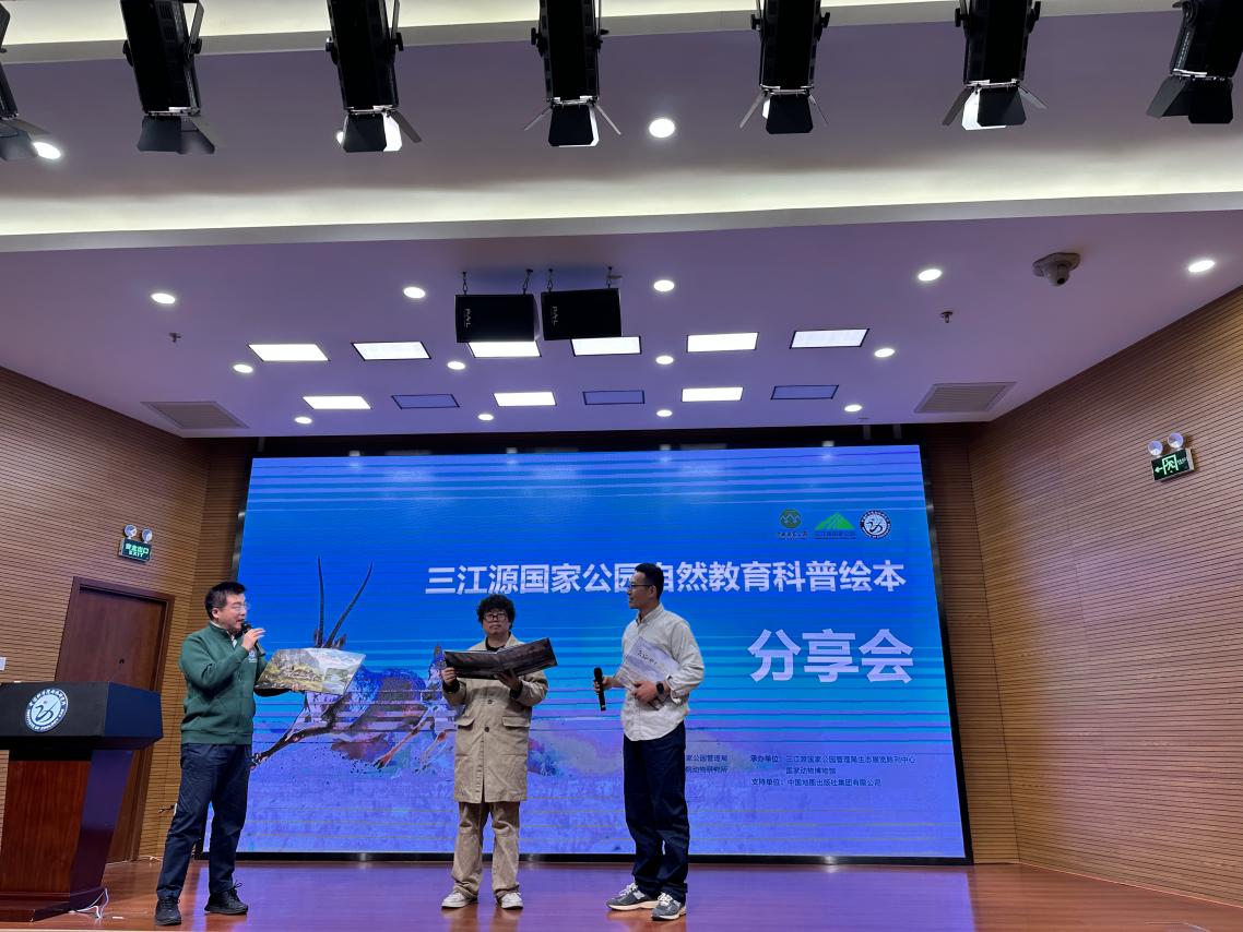图片9