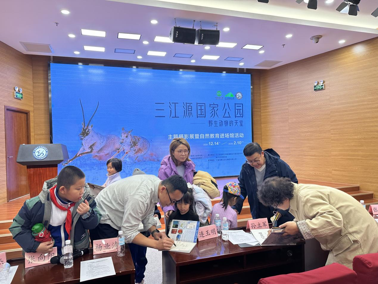 图片13