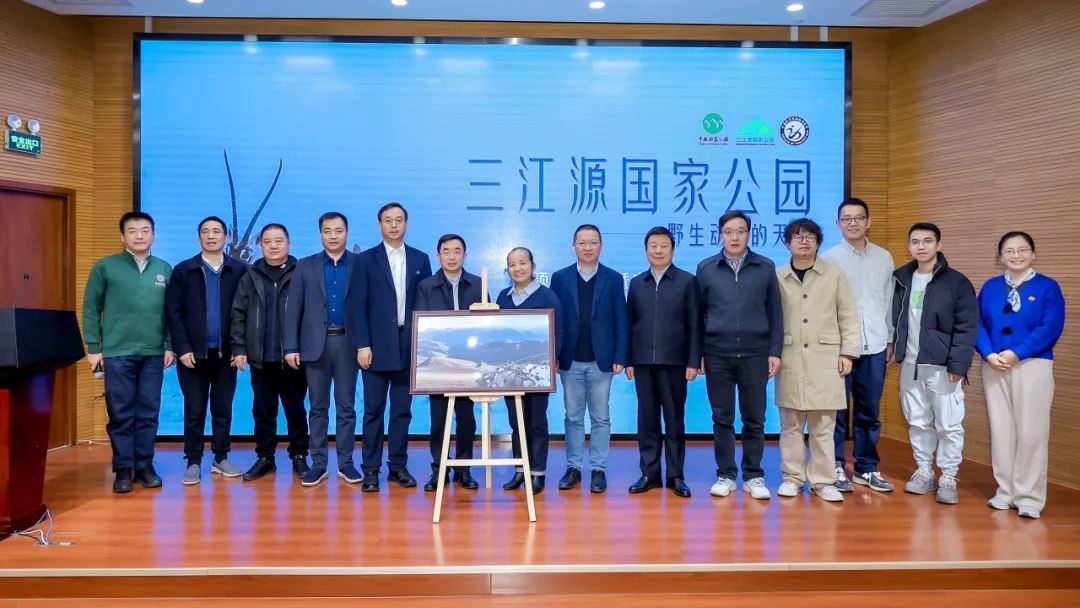 图片14