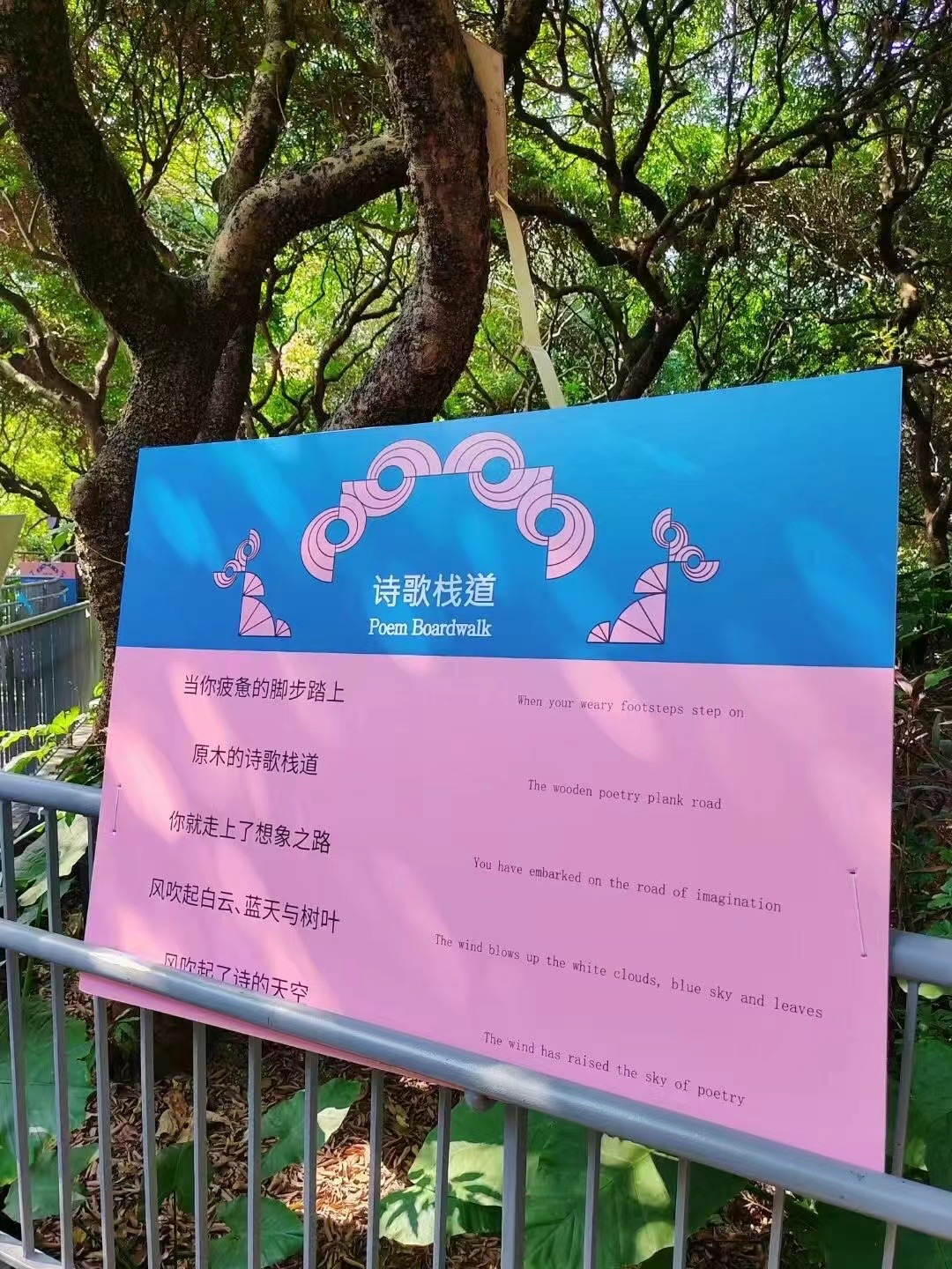 图片13