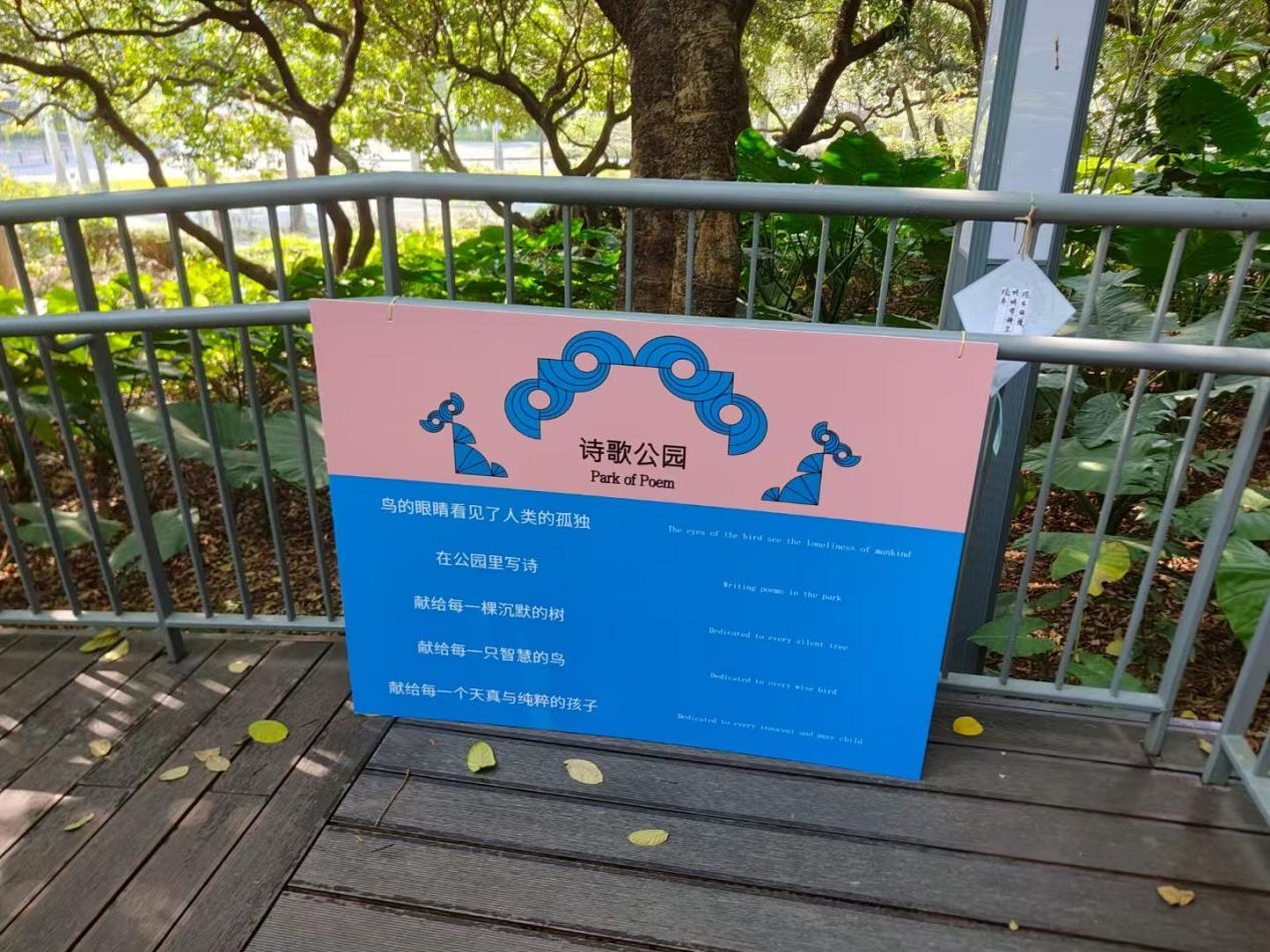 图片15