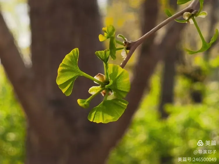 图片6