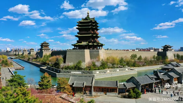 图片4