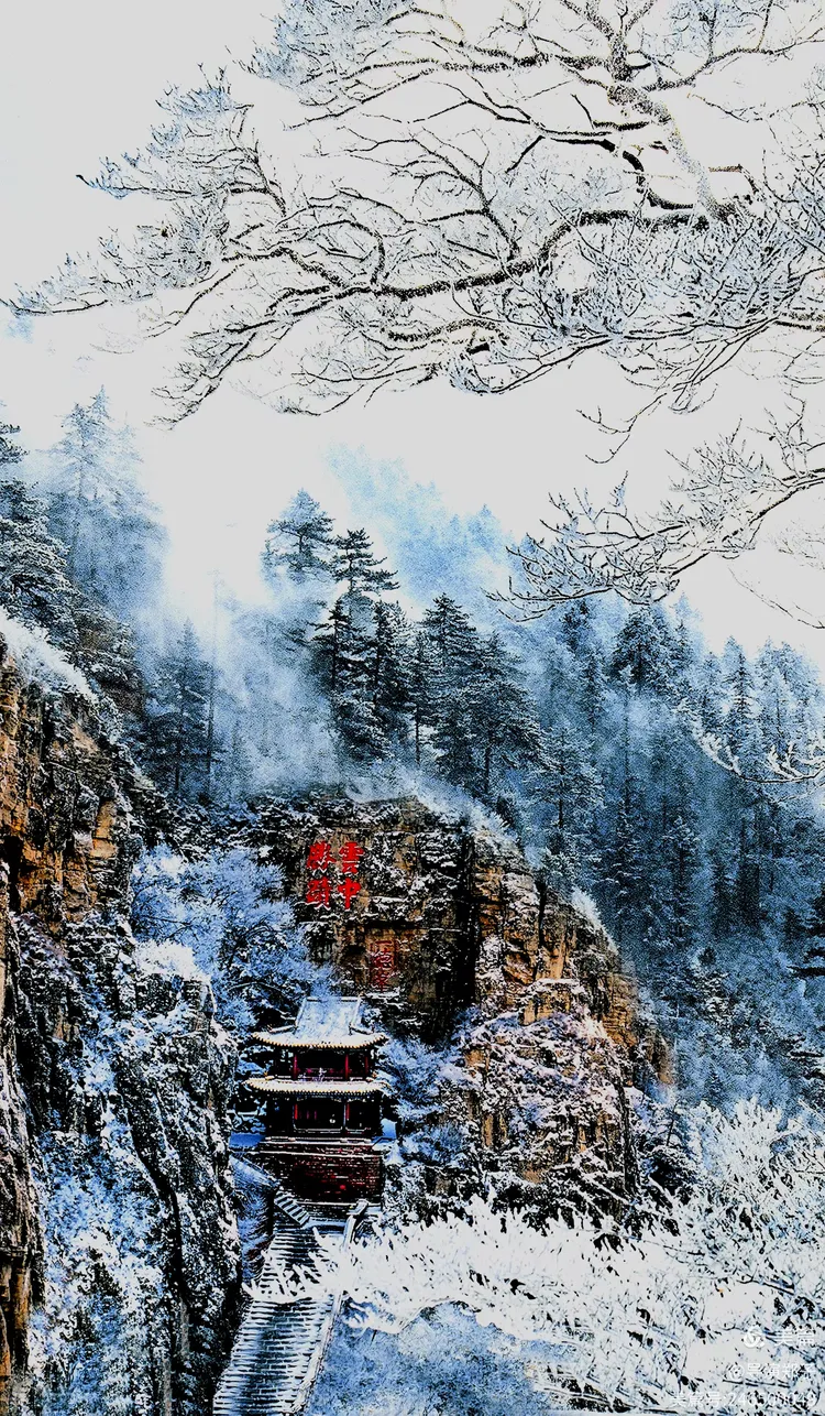 图片15