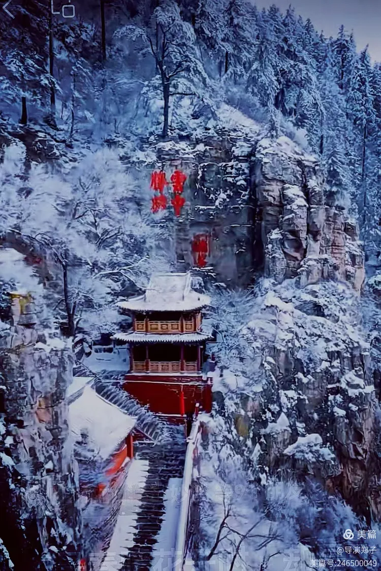 图片20