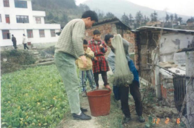 图片1