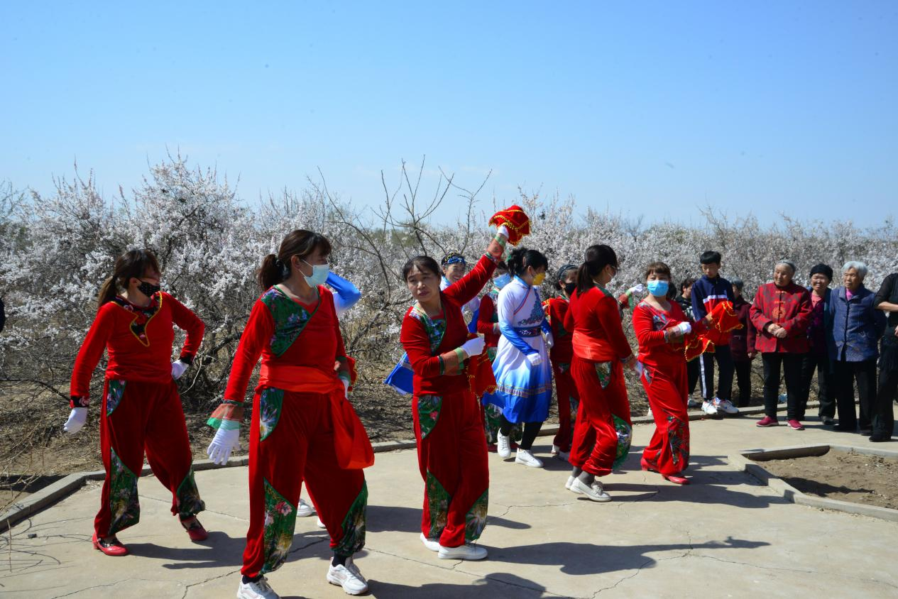 图片5