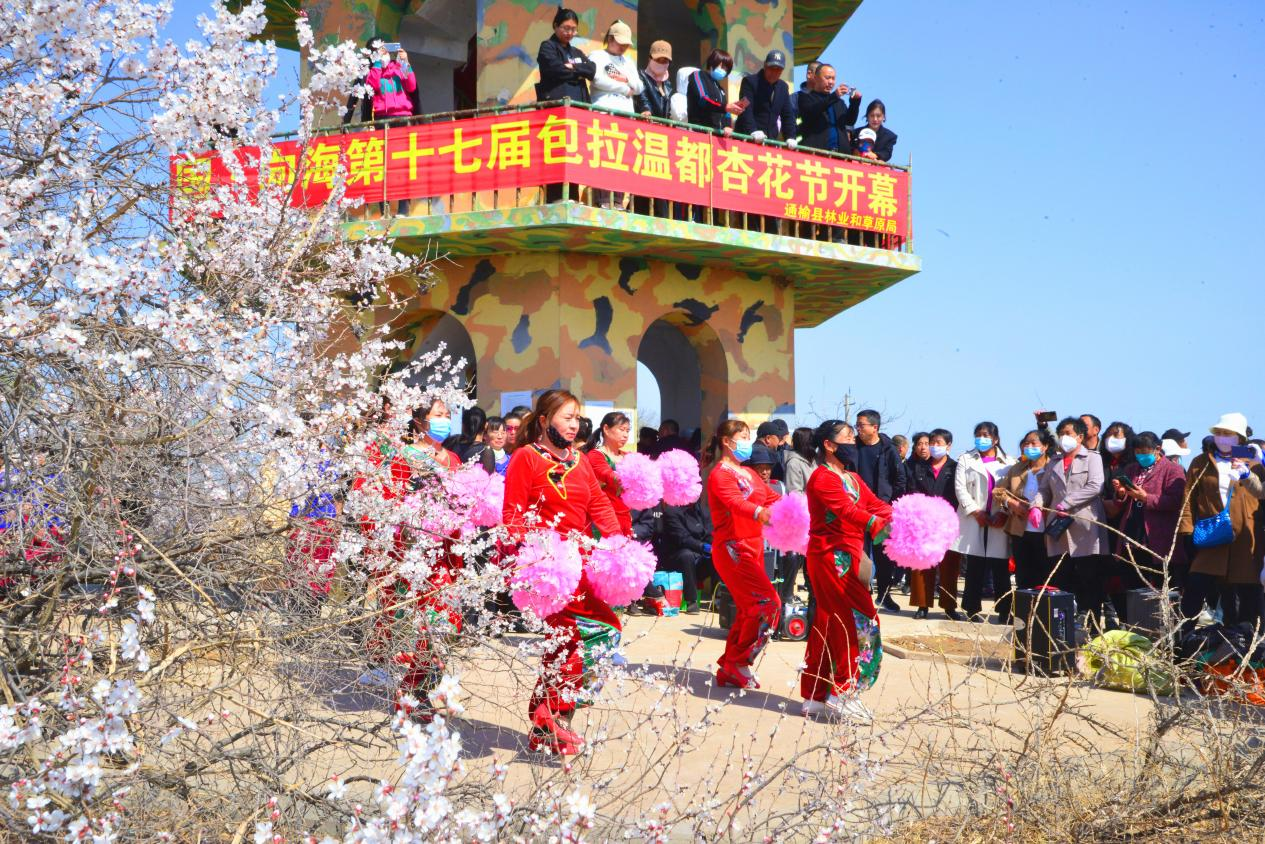 图片8