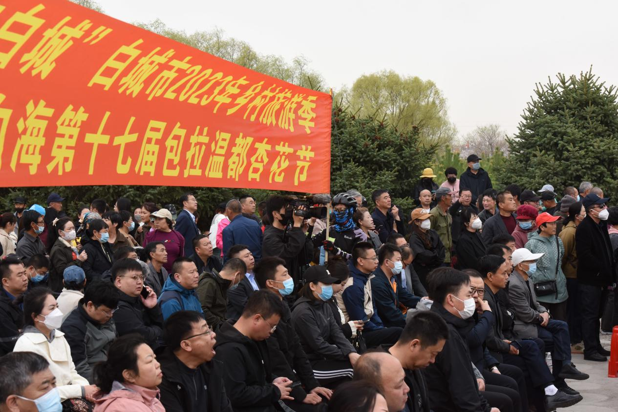 图片14