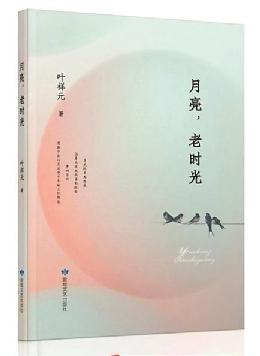 图片4
