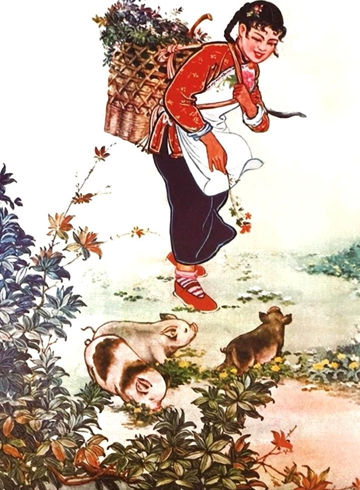 图片6