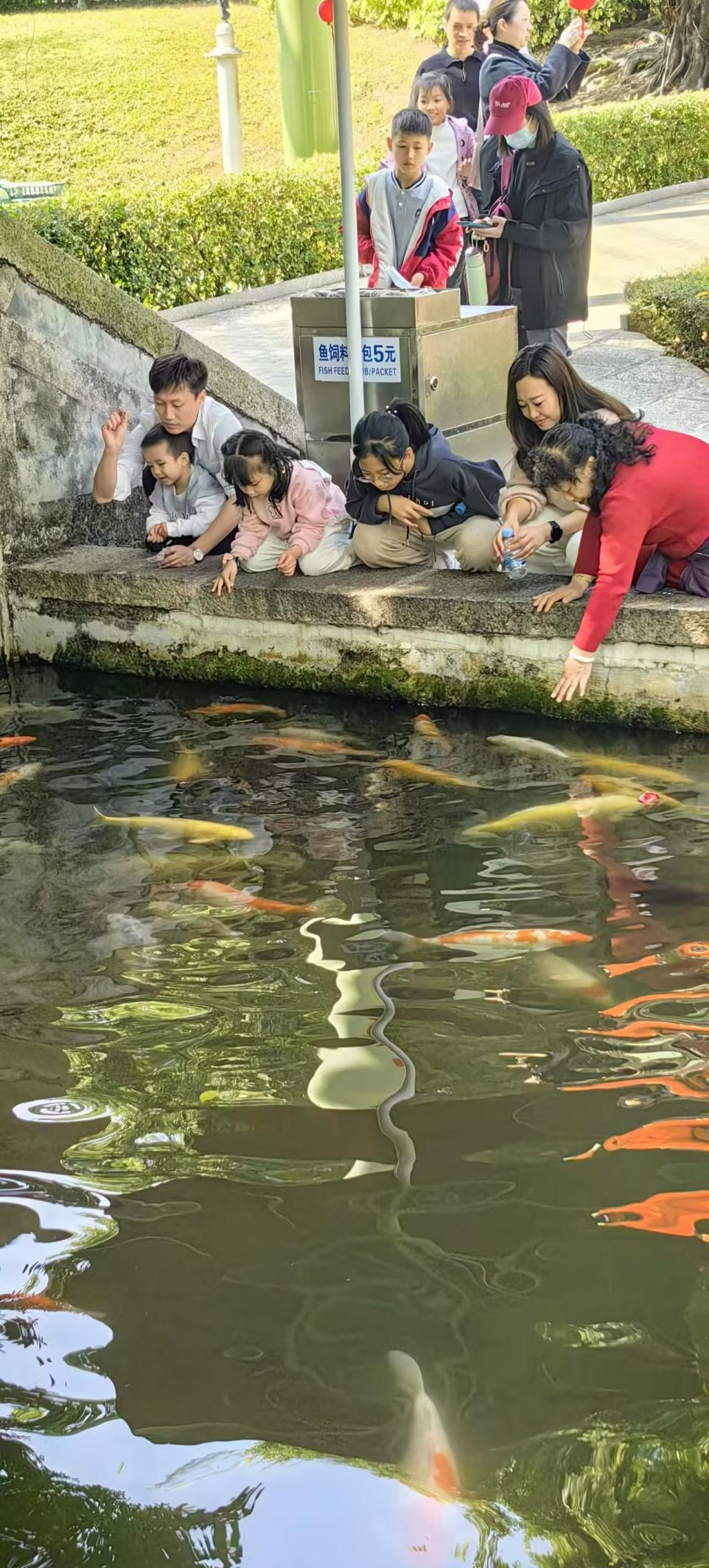 图片4