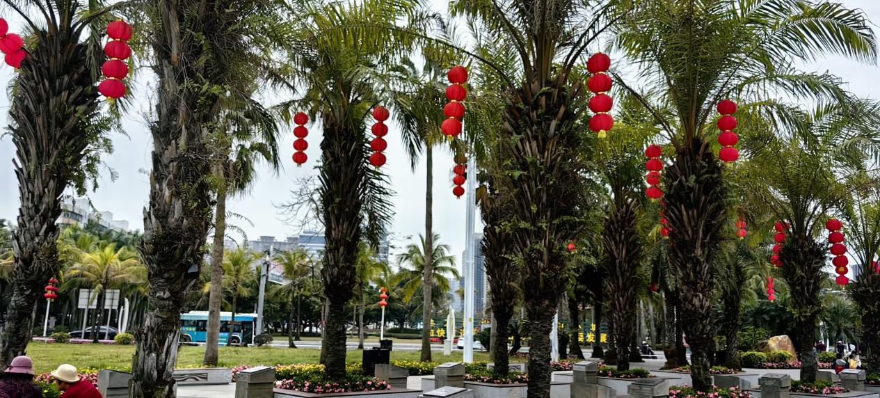 图片3