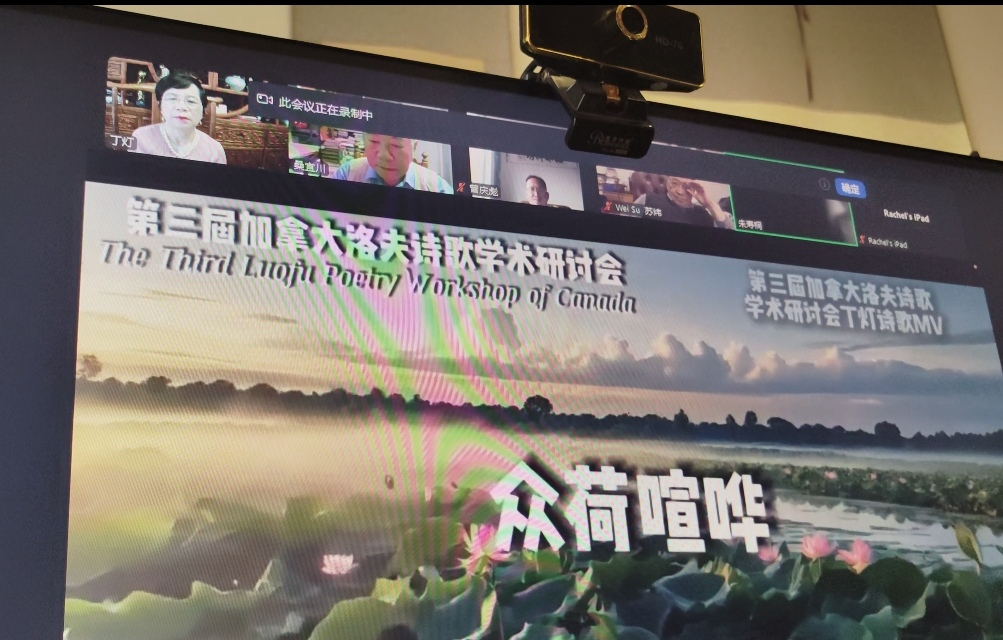 图片8