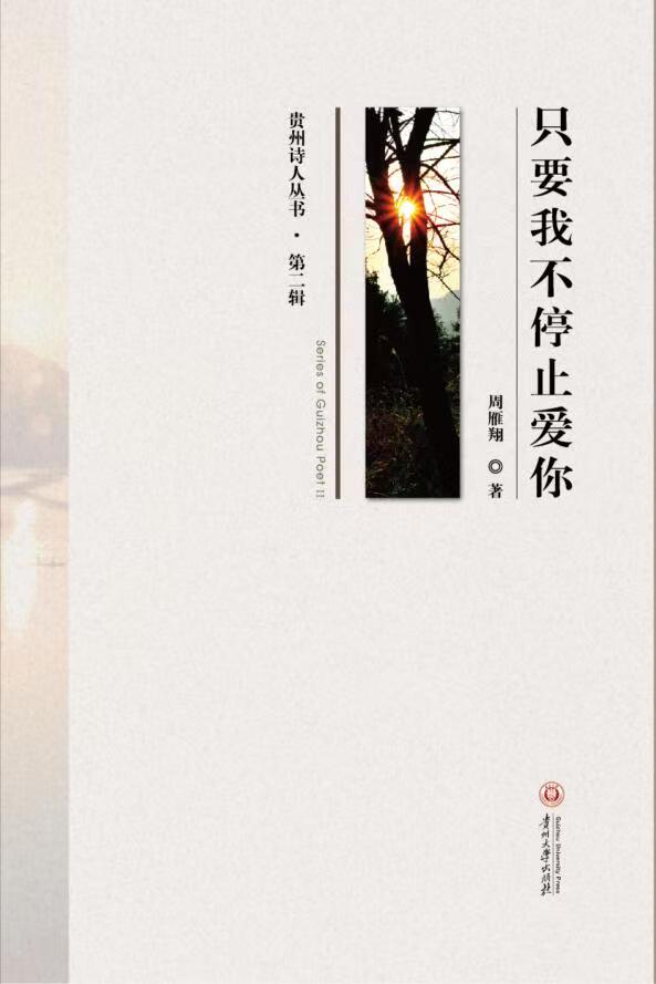 诗集《只要我不停止爱你》封面（周雁翔 著）