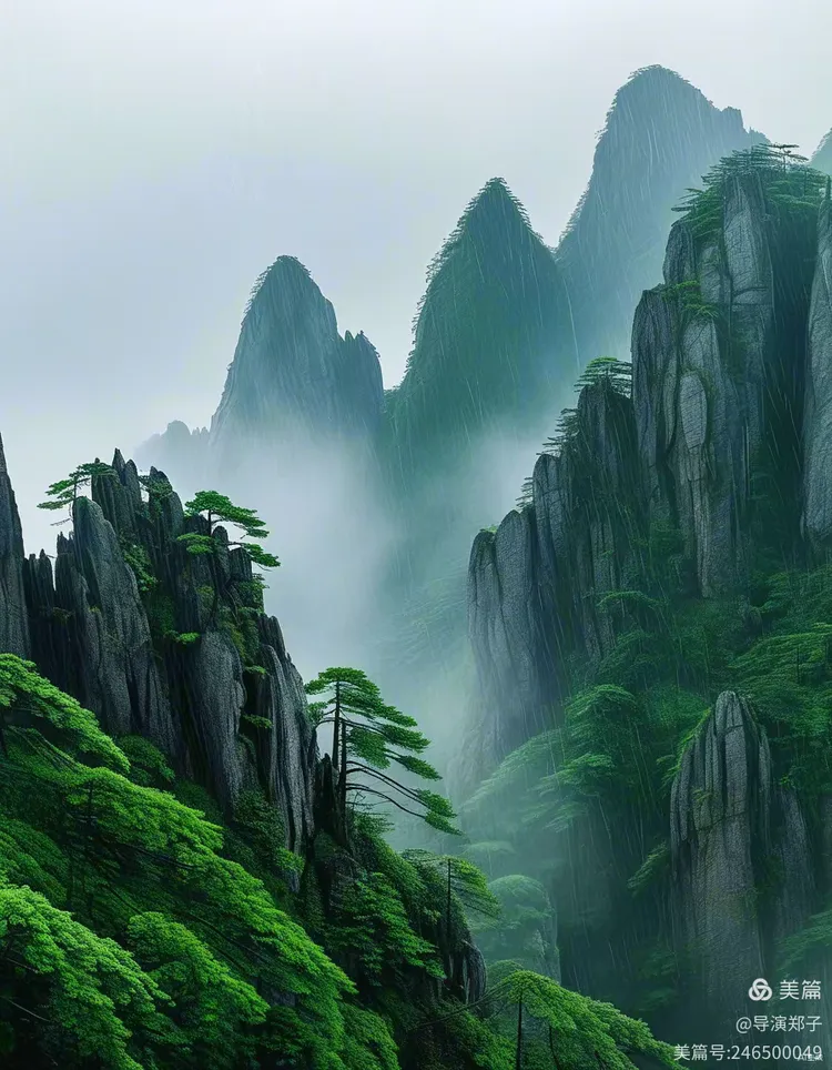 图片8