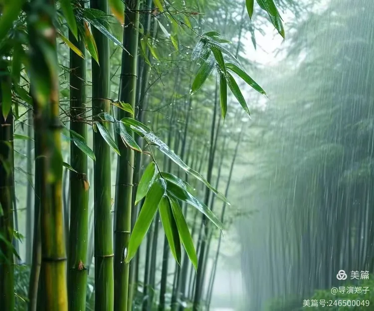 图片9