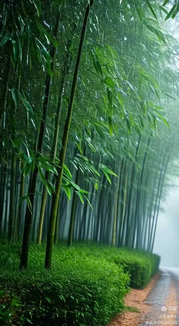 图片10