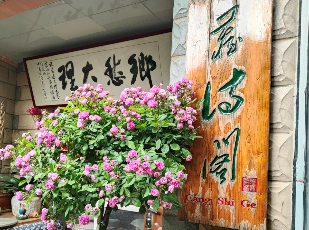 图片1