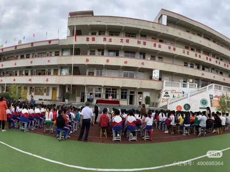 图片8