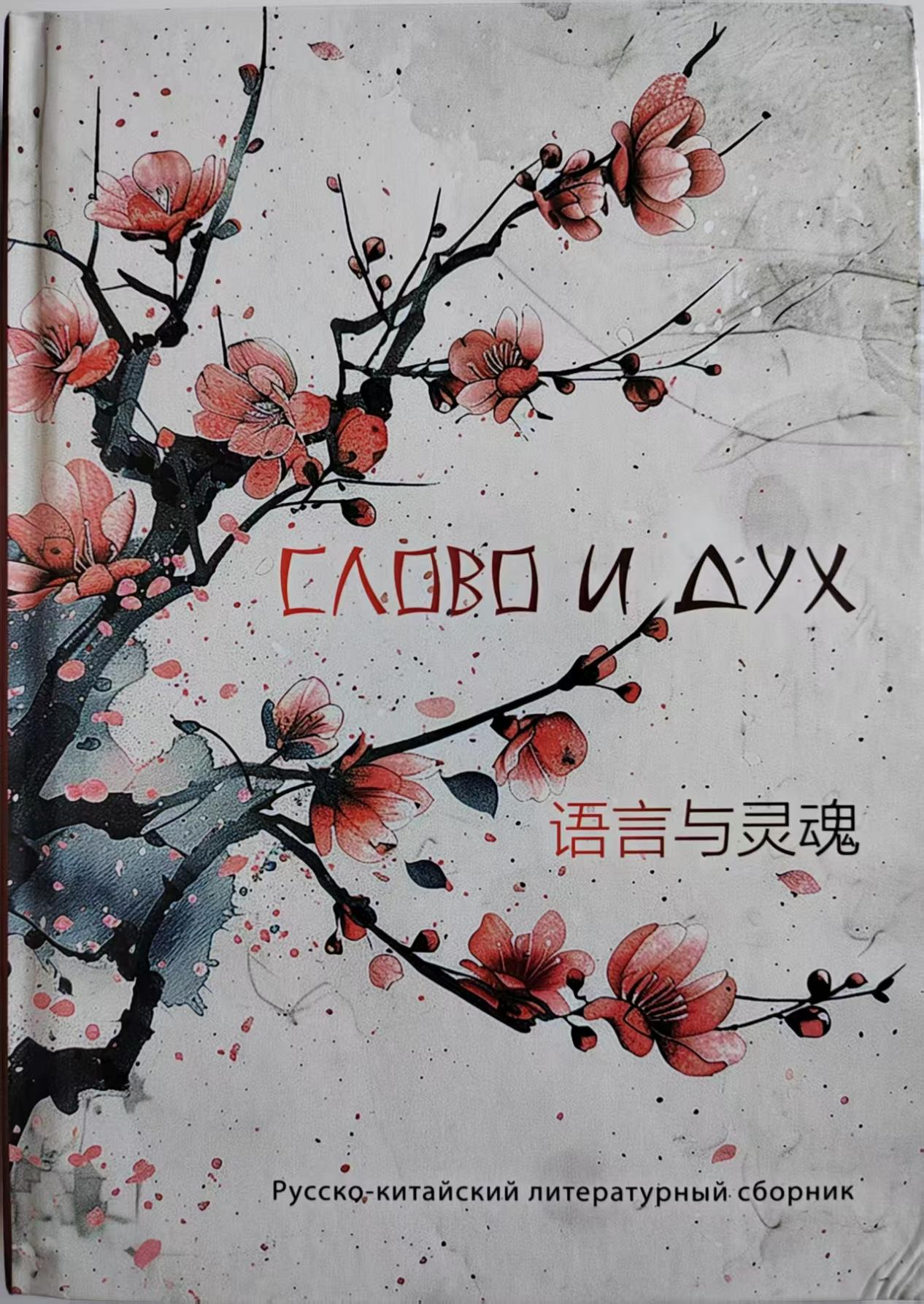 图片3