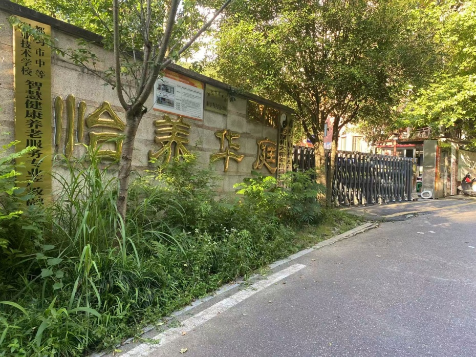 图片1