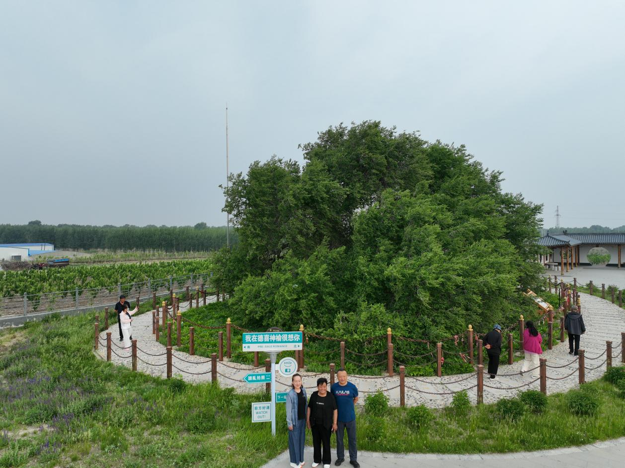 图片2