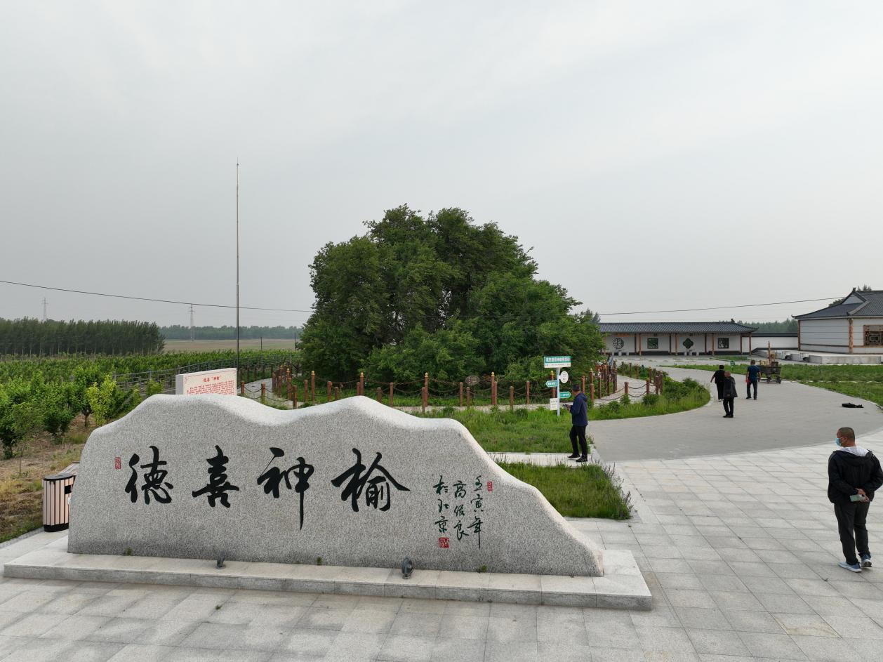 图片7