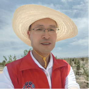 图片1