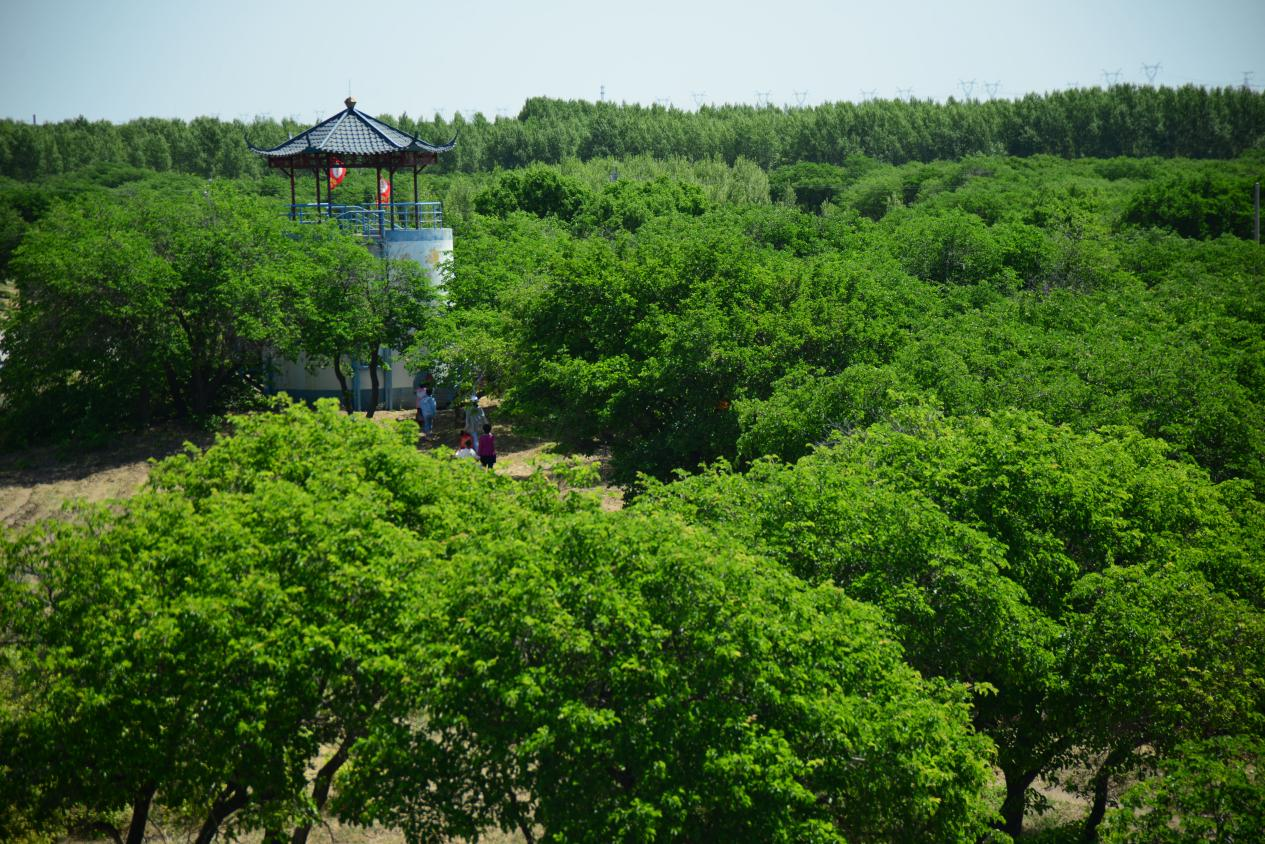 图片2