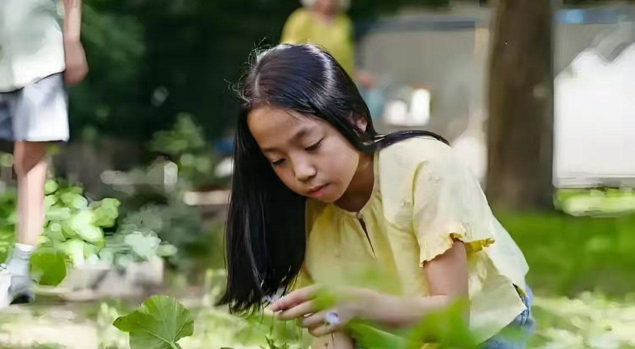 图片5