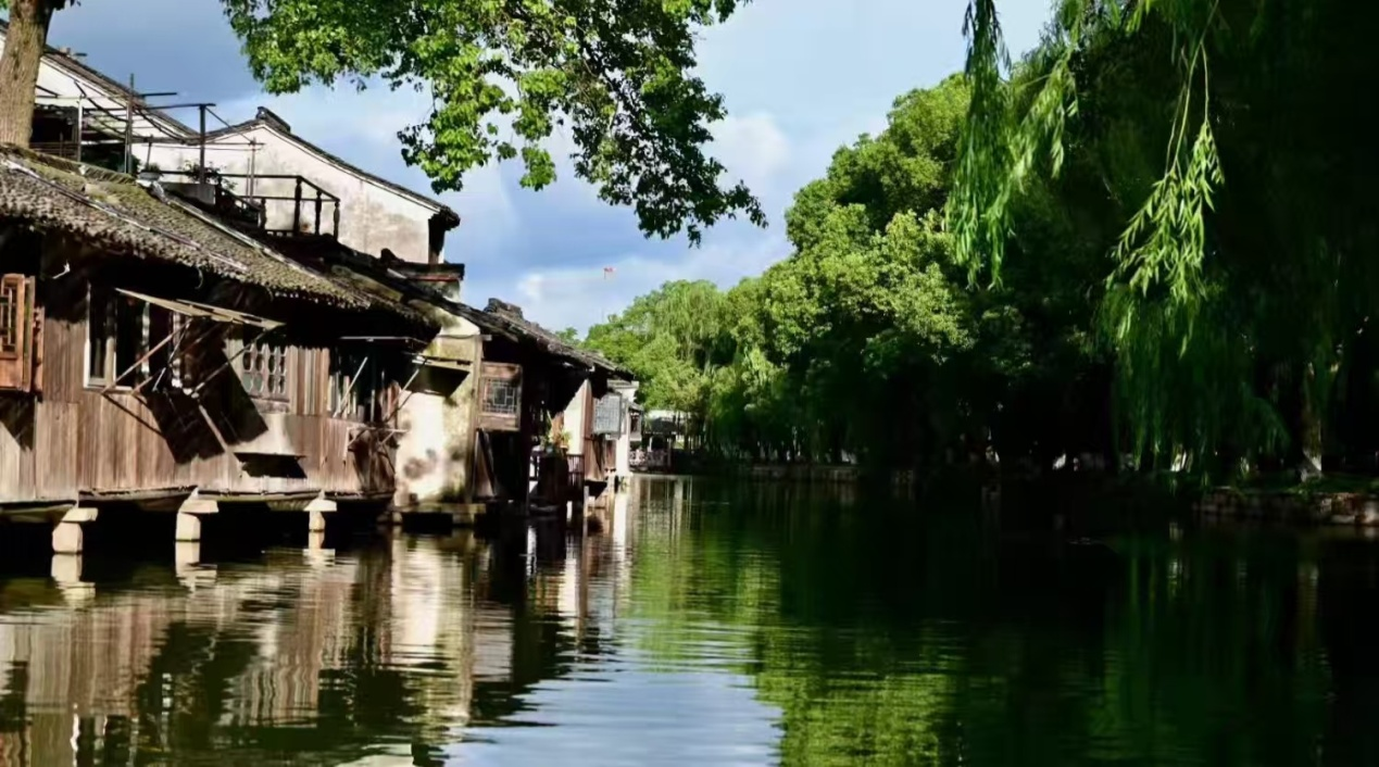 图片7